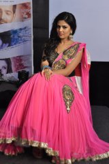 Prema Ishq Kaadhal Audio Function